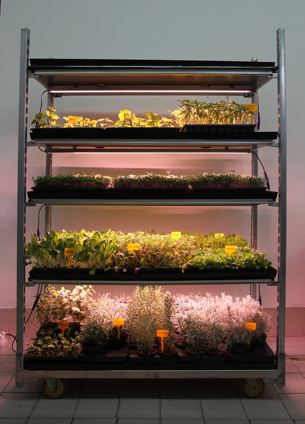 The Kostya vertical farming system overview