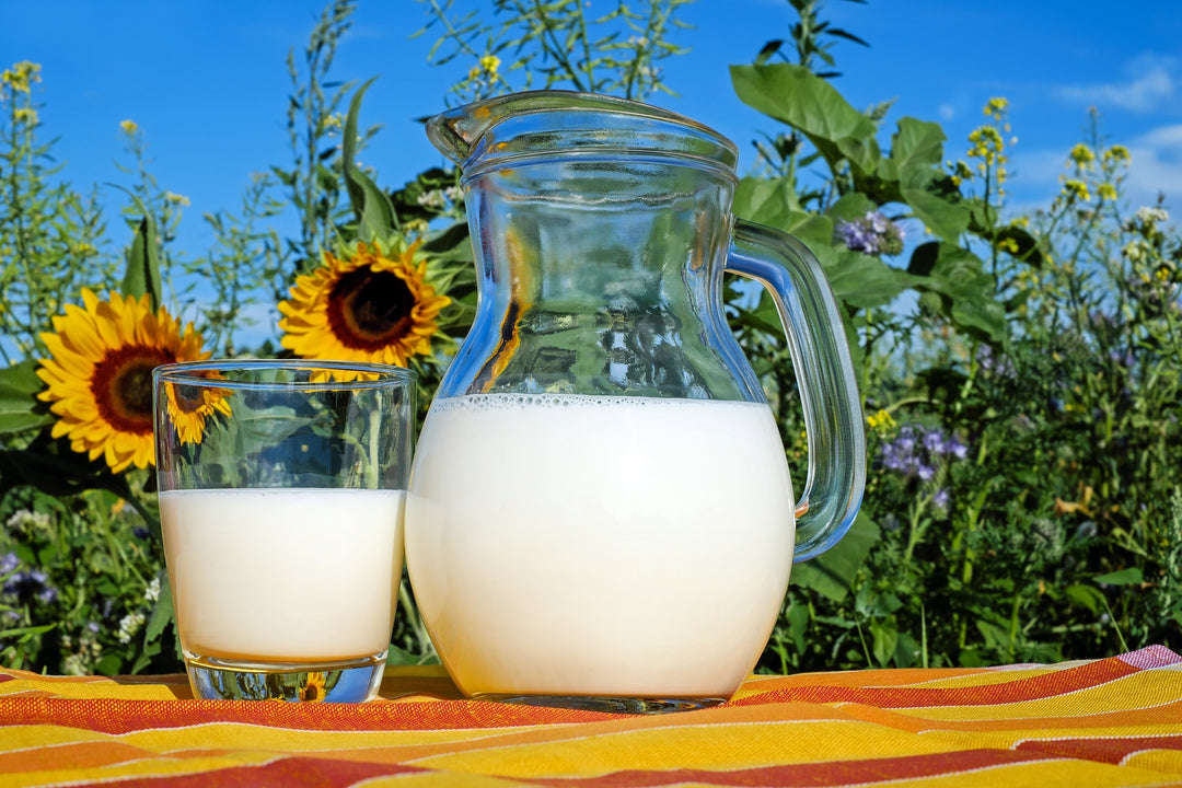 Mlijeko i mliječni proizvodi